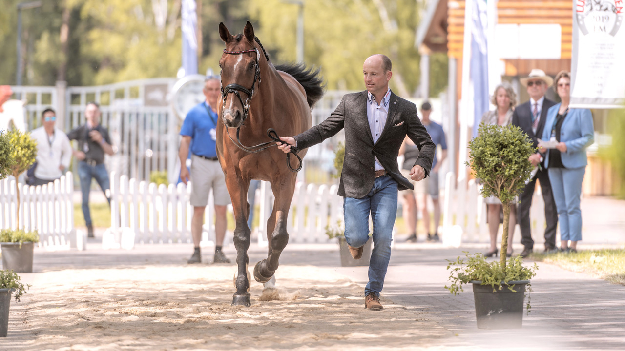 Luhmühlen Horse Trial first trot-up: Michael Jung and FischerWild Wave