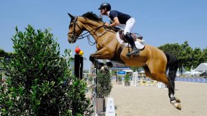 Hello Jefferson and Scott Brash jumping at Champ de Mars in Paris