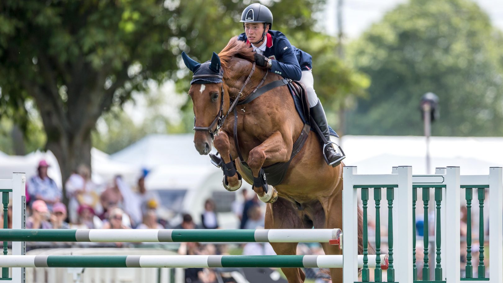 Walwyn Novice Championship at Royal Windsor Horse Show 2021