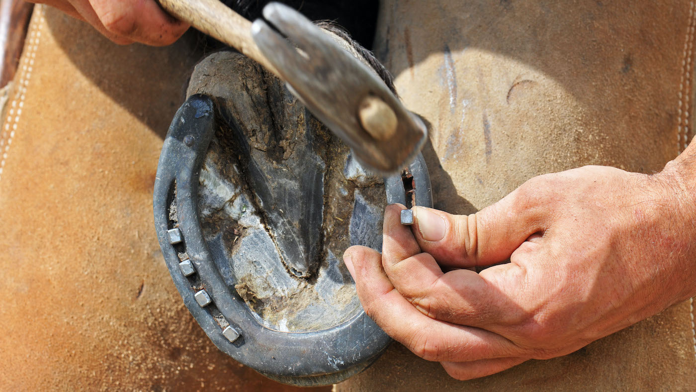 Aid for apprentice farriers as behind schedule checks get the go-ahead