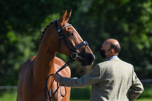 Bicton Horse Trials final trot-up: Bill Levett and Lates Quin