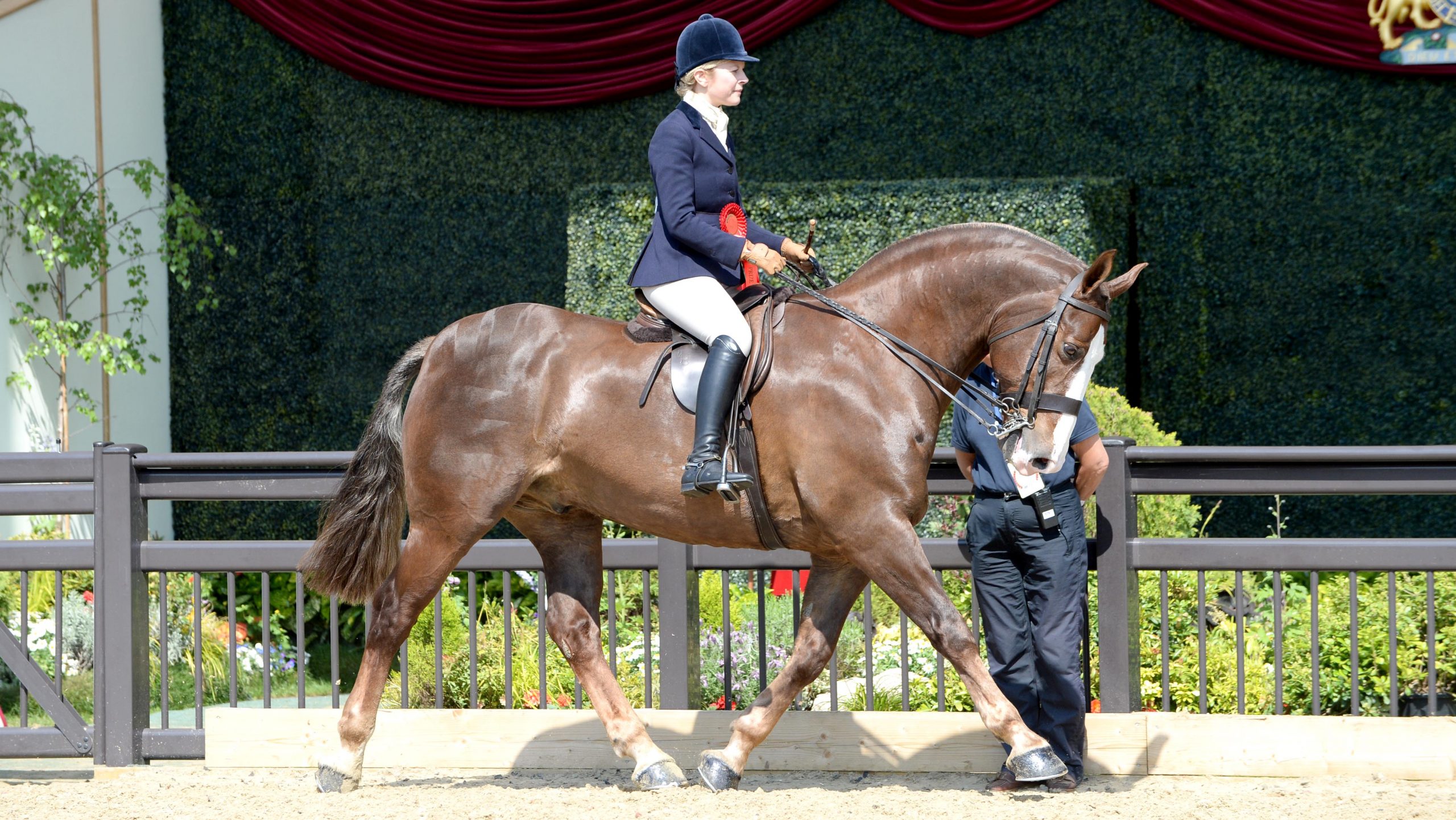 Hallmark IX and Helen Summers at Royal Windsor.