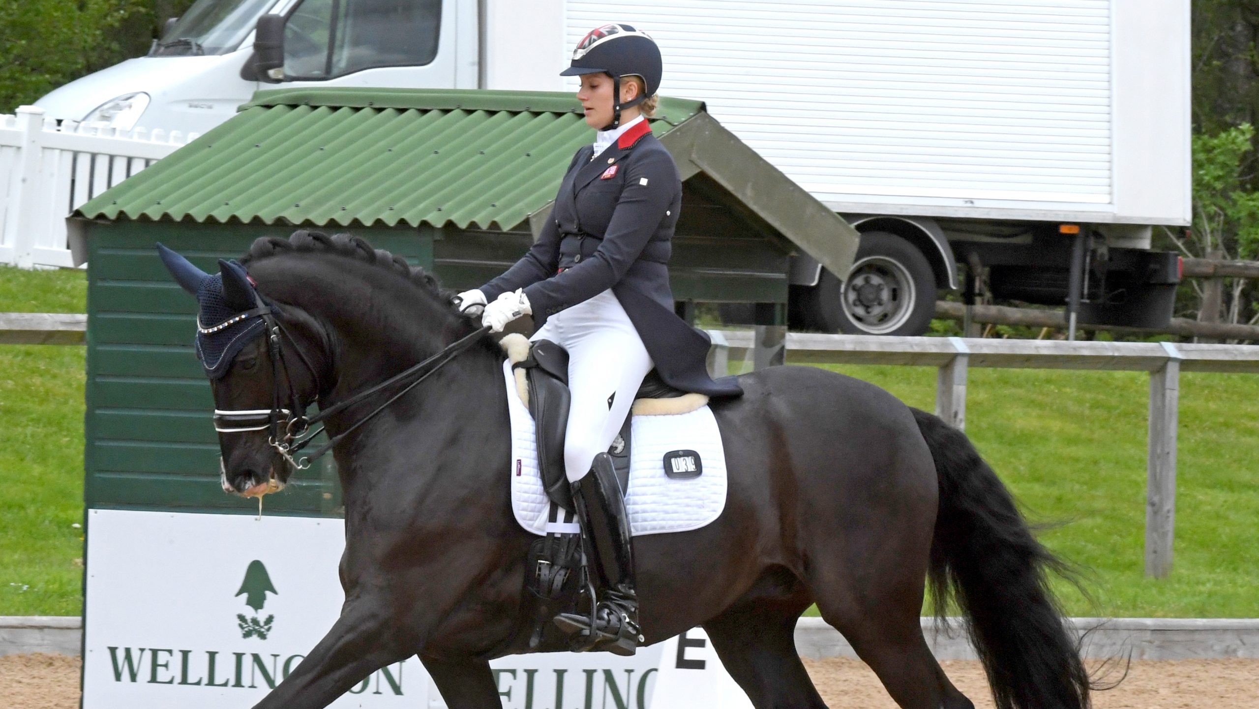 Ellie MCCarthy riding Londero von Worrenberg