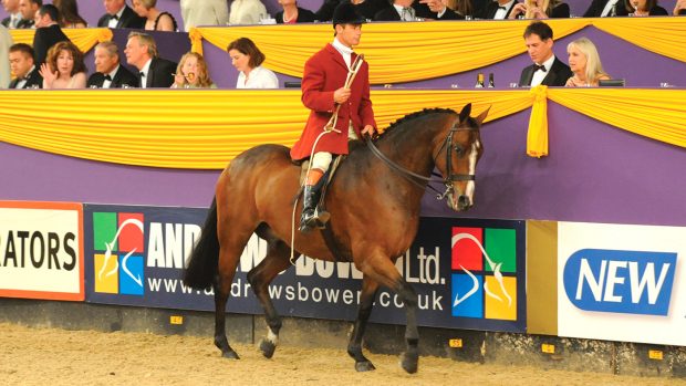 Top show horse Finn McCool become a brilliant huntsman’s horse for Guy Landau