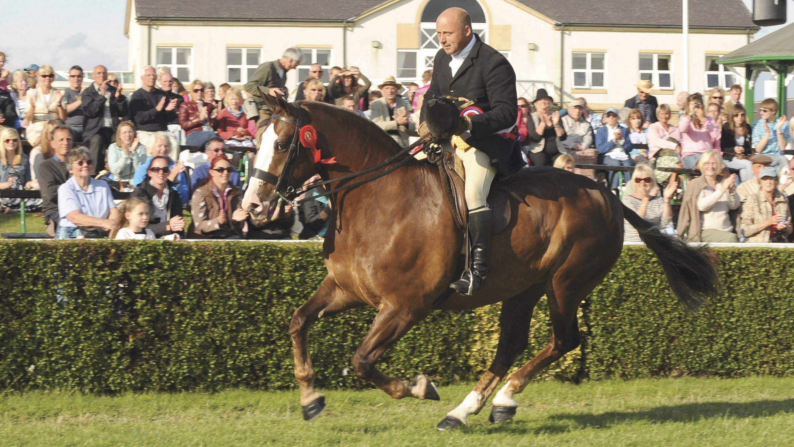 Hallmark IX: supreme ridden champ at Great Yorkshire 2011