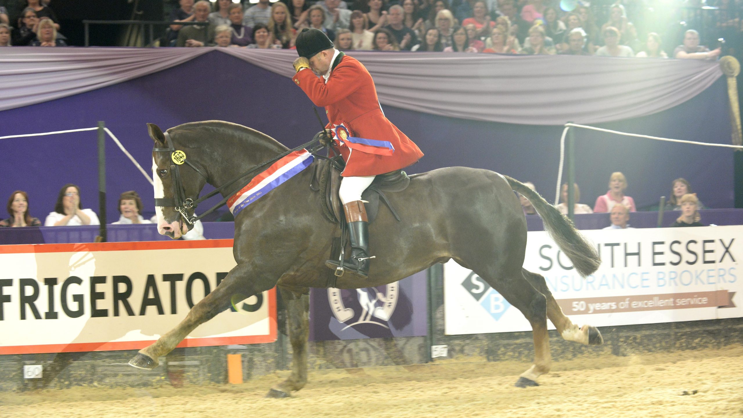 Hallmark IX: supreme horse of the year champion at HOYS 2013