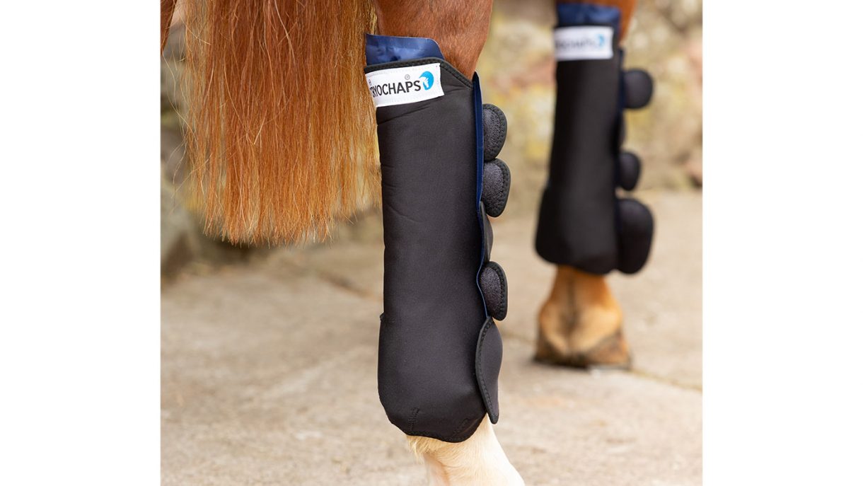 Best ice boots for horses and why you need them Horse & Hound