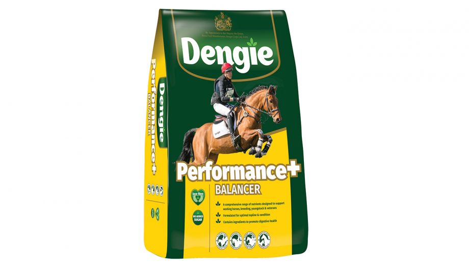 Feed balancers for horses what are the options? Horse & Hound