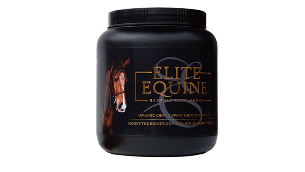Supplements for horses what’s on the market? Horse & Hound