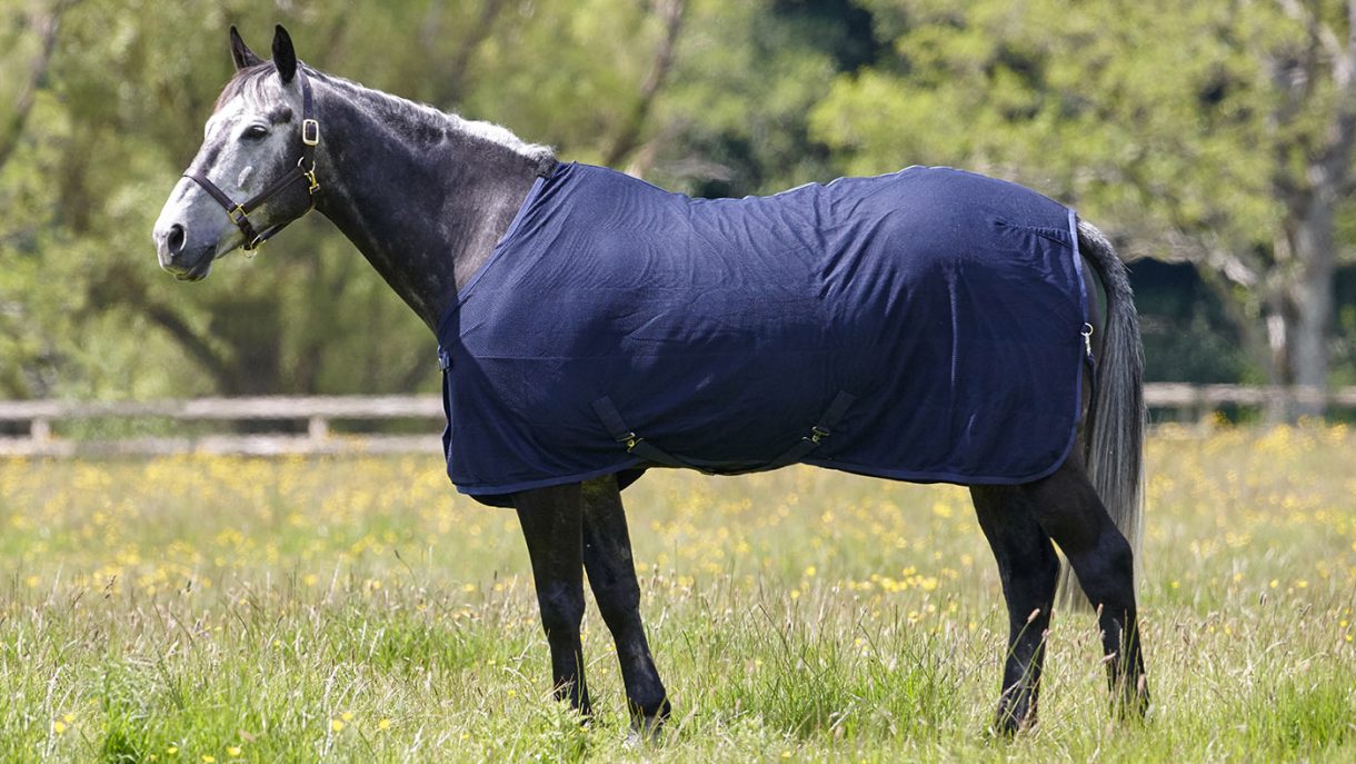 Best cooler rugs for horses for use throughout the year Horse & Hound