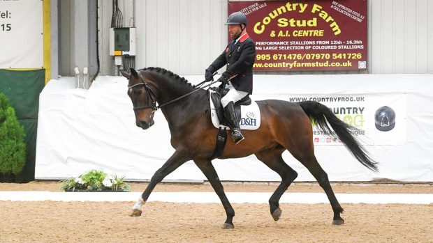 SIR LEE PEARSON - BREEZER