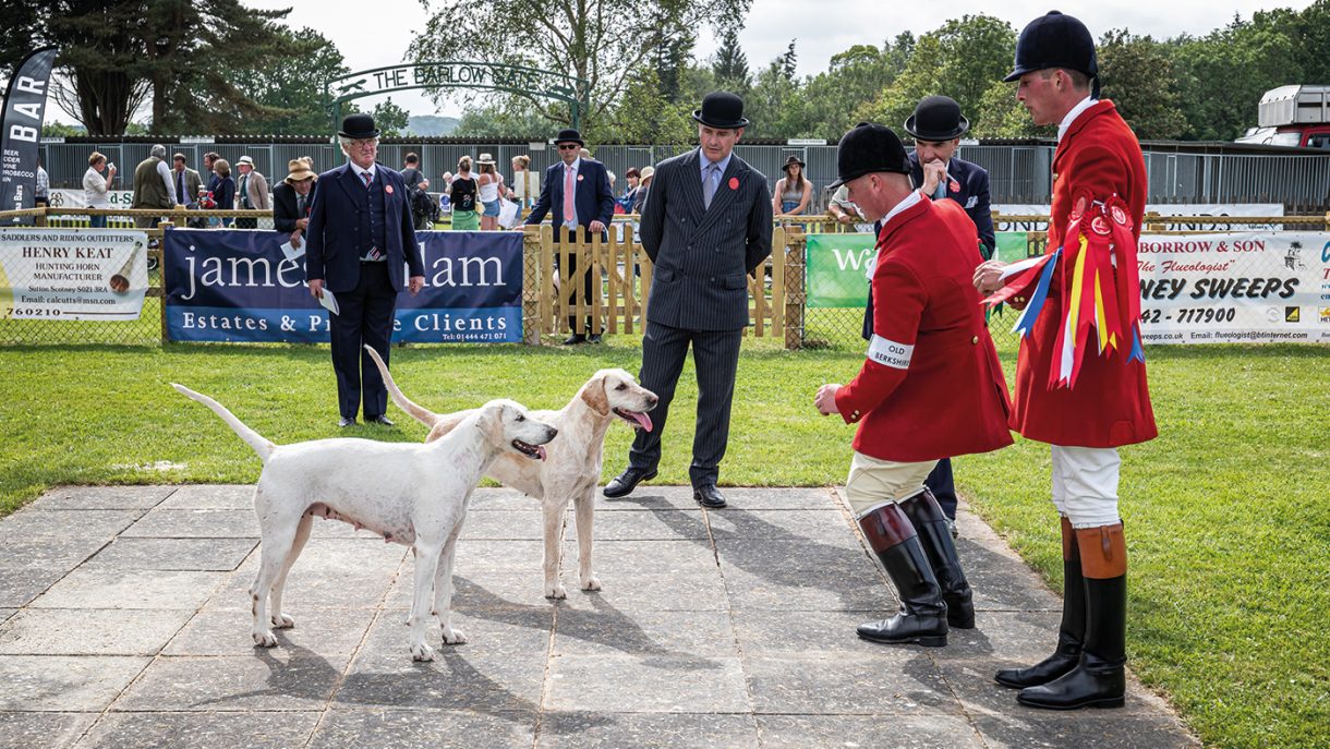 Hound shows Horse & Hound