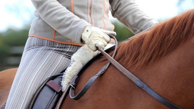 close up of riders hands holding the reins