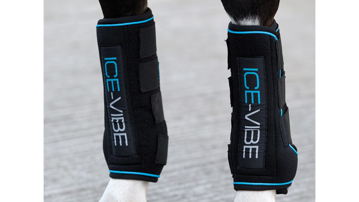 Best ice boots for horses and why you need them Horse & Hound
