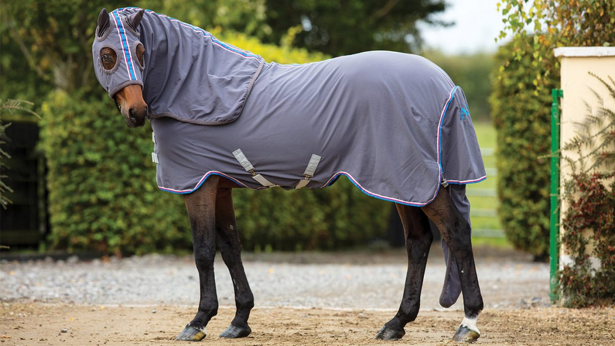 Best show rugs for horses, stable sheets and fleeces Horse & Hound