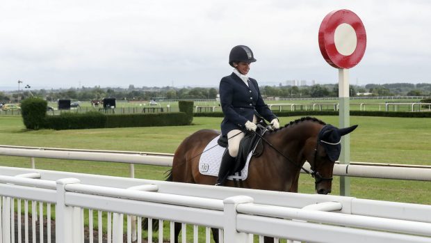 retraining of racehorses