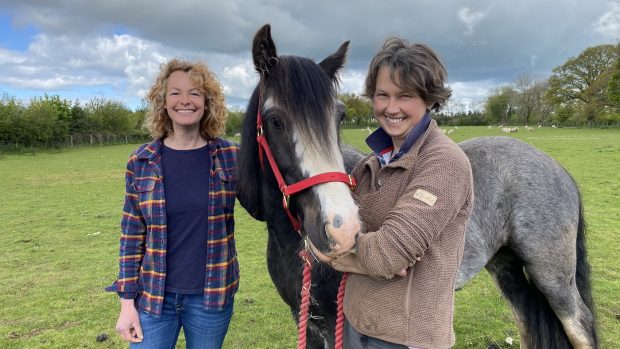 Rescue horse Kate Humble