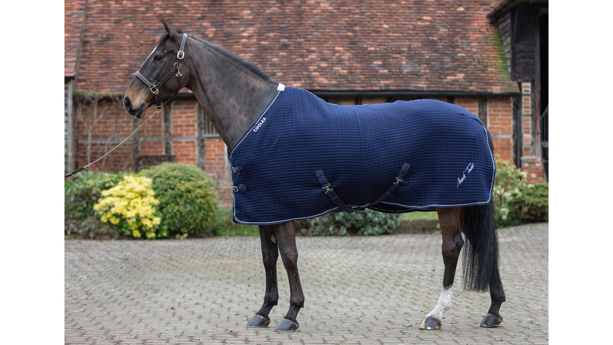 Best cooler rugs for horses for use throughout the year Horse & Hound