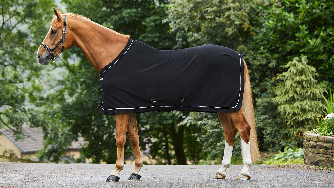 Masta fleece show rug for horses