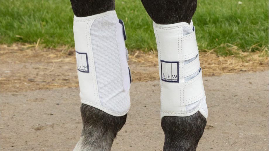 Best crosscountry boots for horses Horse & Hound