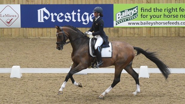 Nathalie Kayal and DHI Cleverboy winning the Superflex inter I at the Winter Dressage Championships