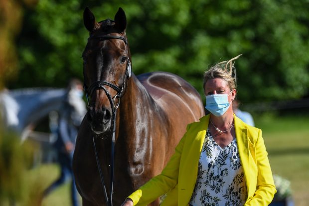 Bicton Horse Trials results: winners Nicola Wilson and JL Dublin