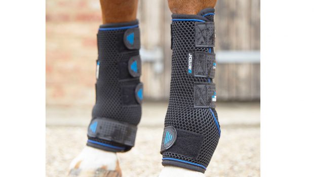 support boots for horses