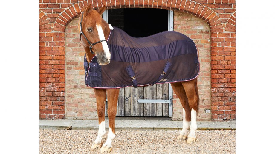 Best cooler rugs for horses for use throughout the year Horse & Hound