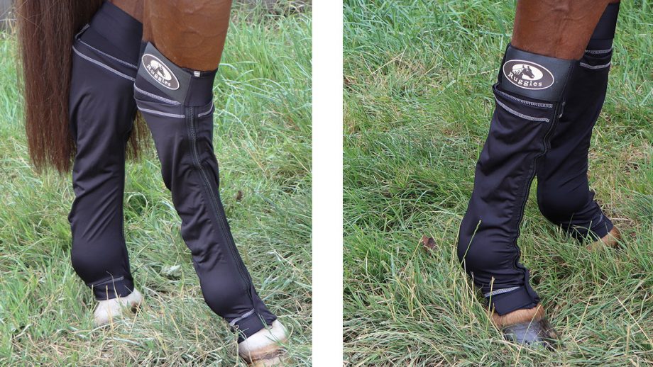 Best ice boots for horses and why you need them Horse & Hound