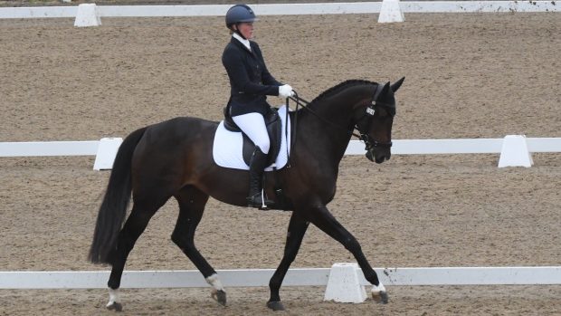 Lucy Lloyd Glensensaw Sweet Girl