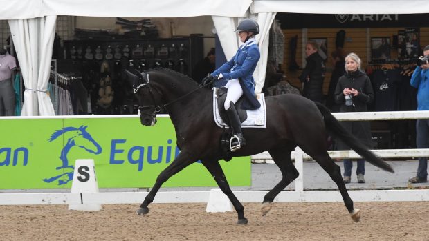 Amy Jack Graf Hit VH Bloemenhof