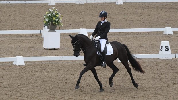 RACHEL PLATT - GRACIA DU RONA