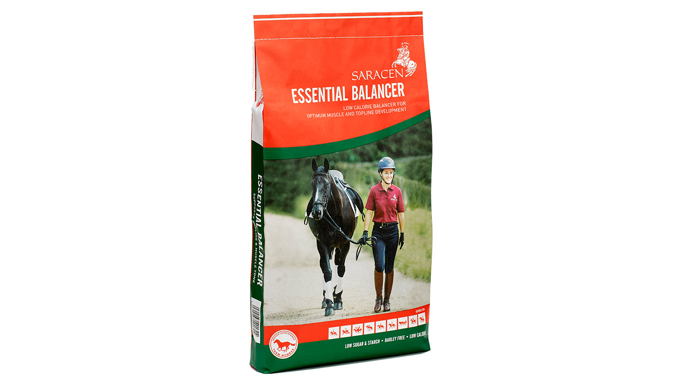 Saracen Essential Balancer