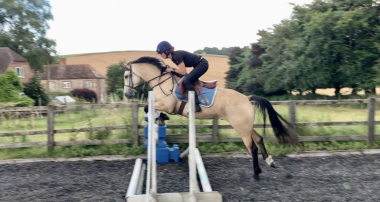 Connemara ponies for sale — brought to you by Horse & Hound