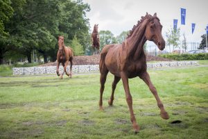 World War I horses