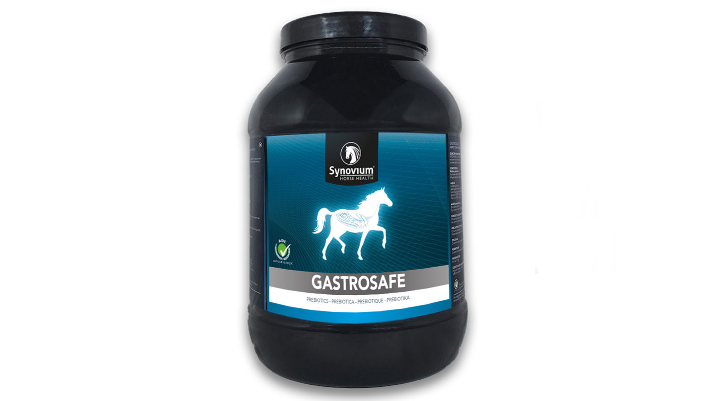 Synovium Gastrosafe gastric supplement for horses