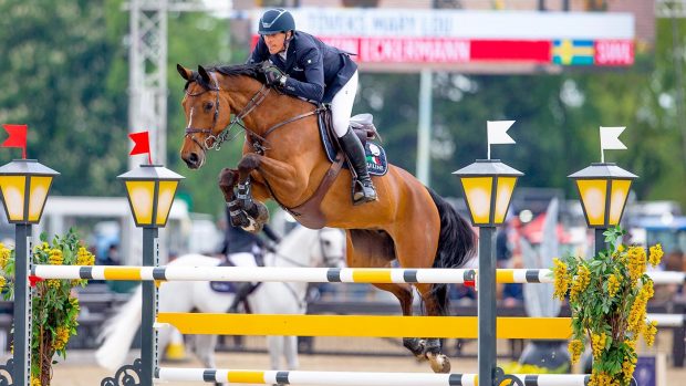 Royal Windsor Horse show showjumping