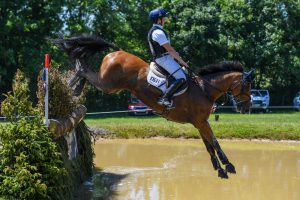 Bicton Horse Trials cross-country