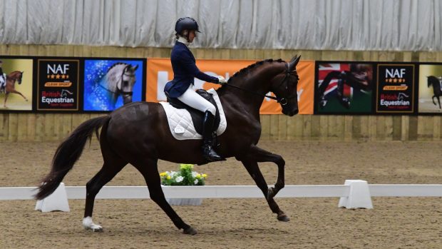 Jennifer Johnston Harman Dance With Me Furst MFS