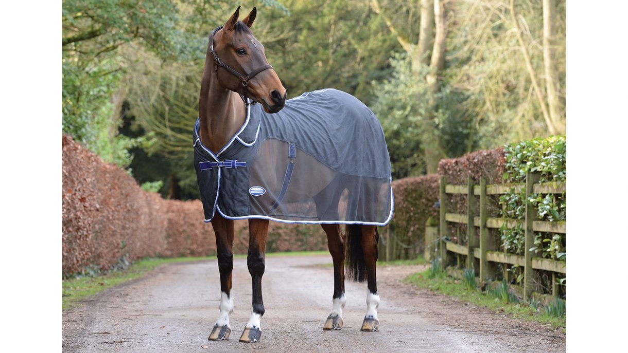 Best cooler rugs for horses for use throughout the year Horse & Hound