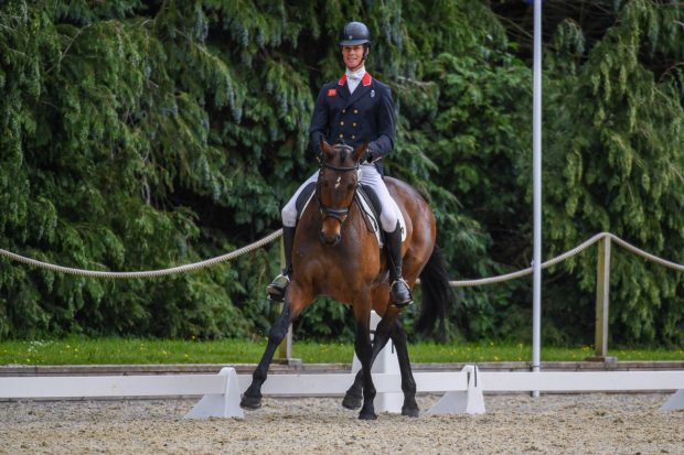 Bicton Horse Trials dressage: William Fox-Pitt and Grafennacht