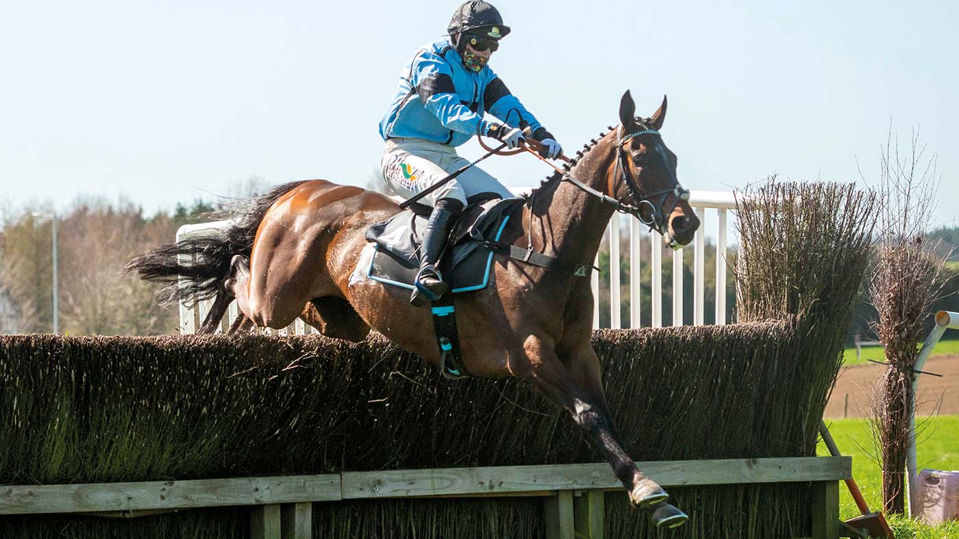 Pointtopoint champions crowned Horse & Hound