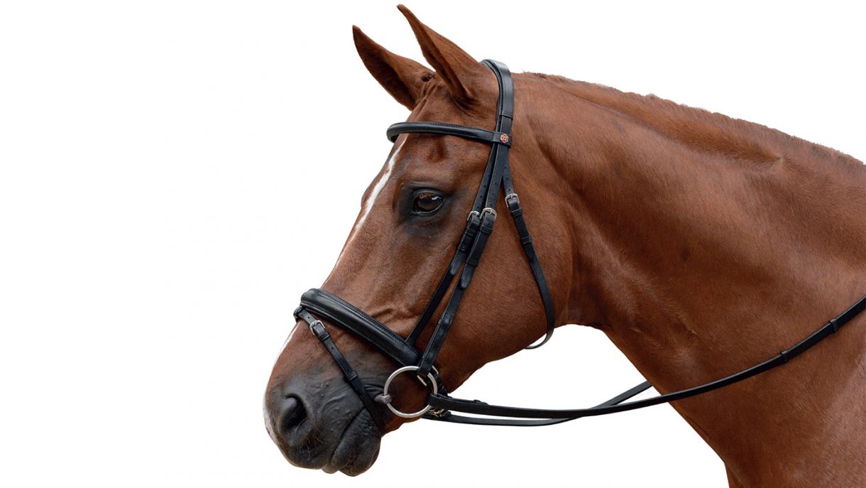 Best anatomical bridles for all budgets Horse & Hound
