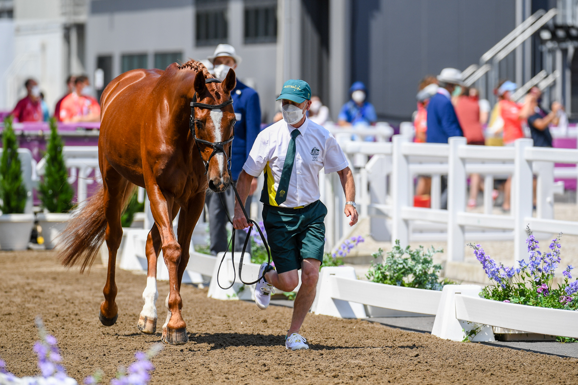 Olympic eventing first trot-up pictures: Andrew Hoy and Vassily De Lassos