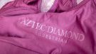 Aztec Diamond sports bra review