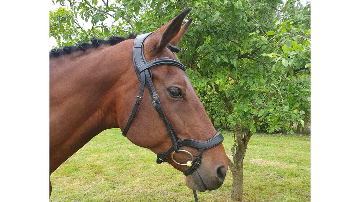 Best anatomical bridles for all budgets Horse & Hound