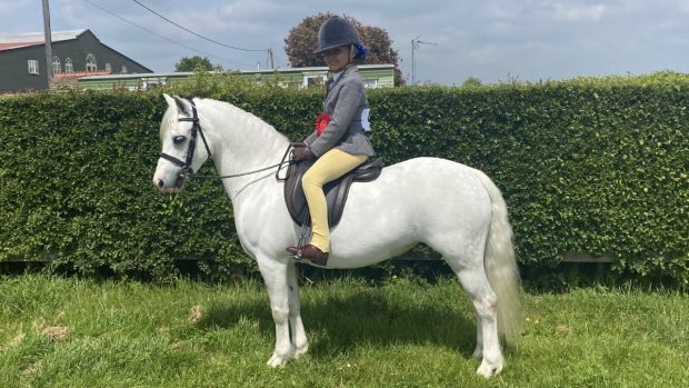 Bluebell Beechey and Crumpwell Finella now head to RIHS for the Pretty Polly heritage first ridden