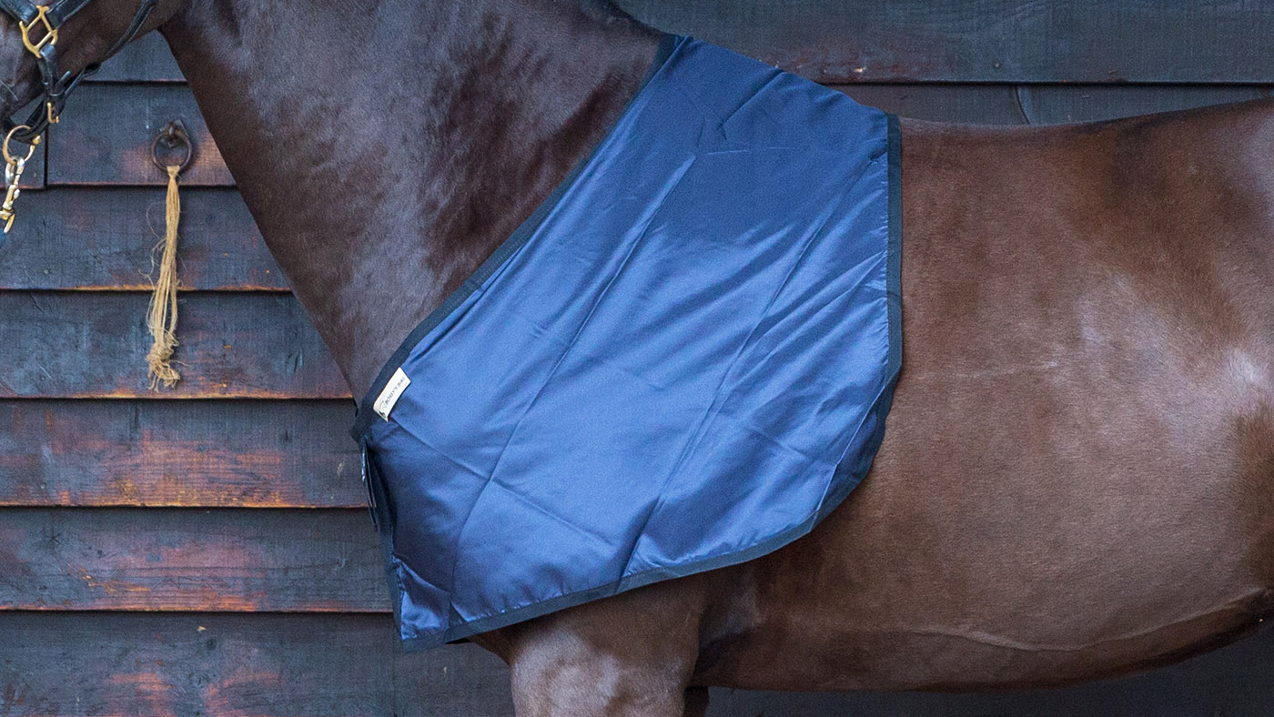 Bossy's Bib anti-rub vest for horses