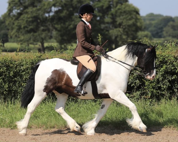 Cally Humphreys overcomes her anxiety to qualify coloured gelding Fouche’s Wizard of Oz for the Royal International