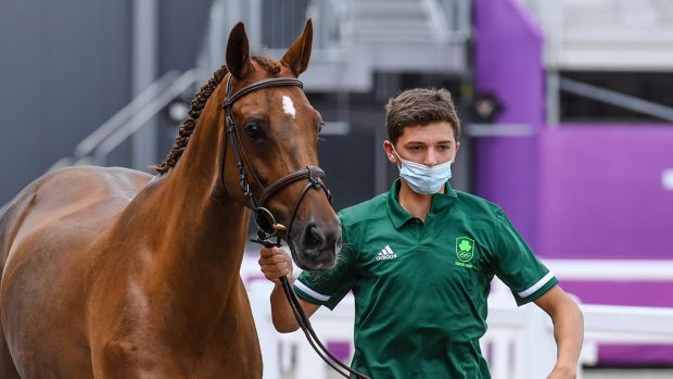 The Irish Olympic eventing team will be without Cathal Daniels and Rioghan Rua, seen here during the first horse inspection at the Tokyo 2020 Olympic Games